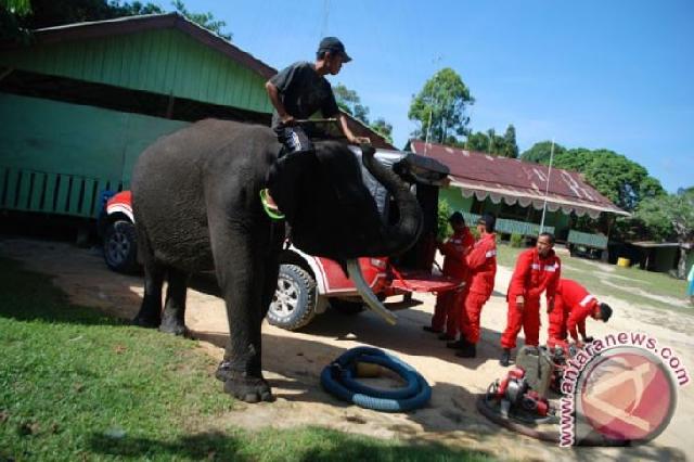 Cegah Karlahut, KLHK Patroli Terpadu dan Terukur