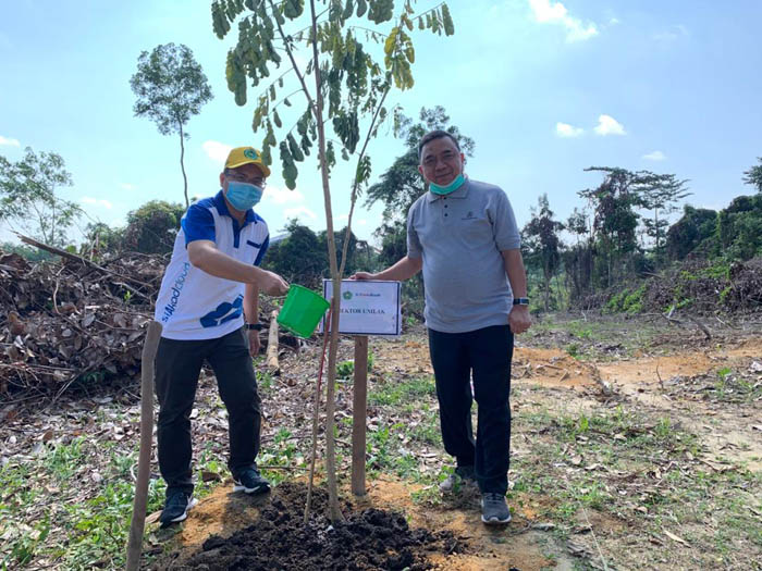 Ratusan Pohon Trembesi Ditanam, Kampus Unilak Semakin Teduh