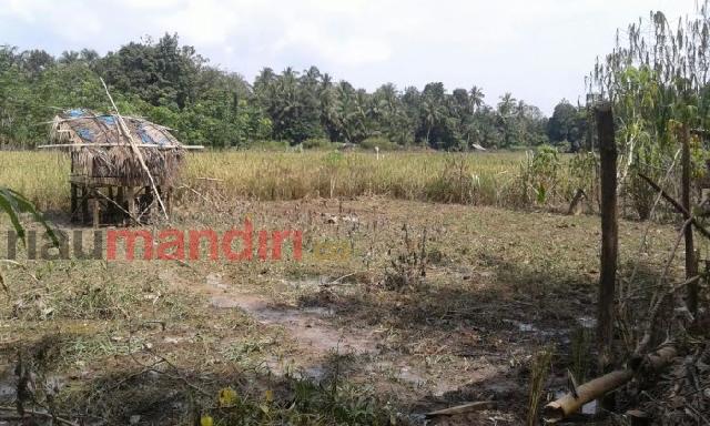 Merasa Tak Dianggap, Warga Pulau Sarak Kecewa