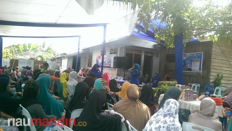 Jalelawati: Saya Ikut Berjuang Memekarkan Kabupaten Meranti