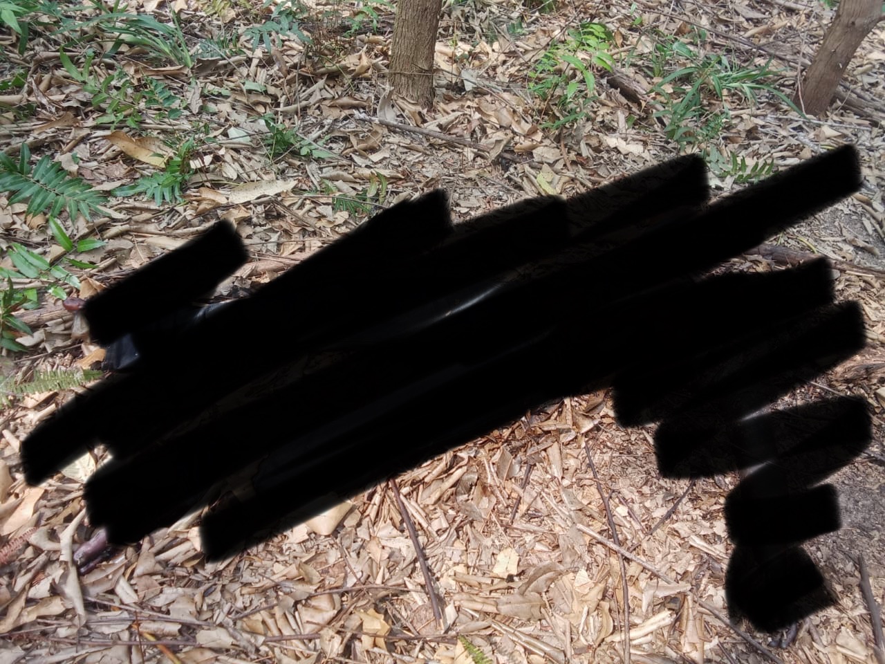 Mayat Tanpa Identitas Ditemukan Membusuk di Desa Pangkalan Gondai