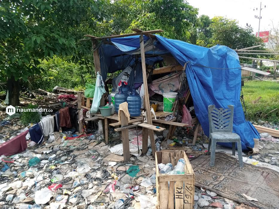 Pengamat Minta Pemko Pekanbaru Basmi Rumah Liar