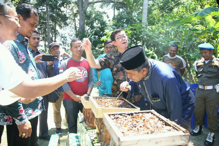 Duo Madu Kelulut-Durian Lalang, Magnet Ekowisata Sungai Apit