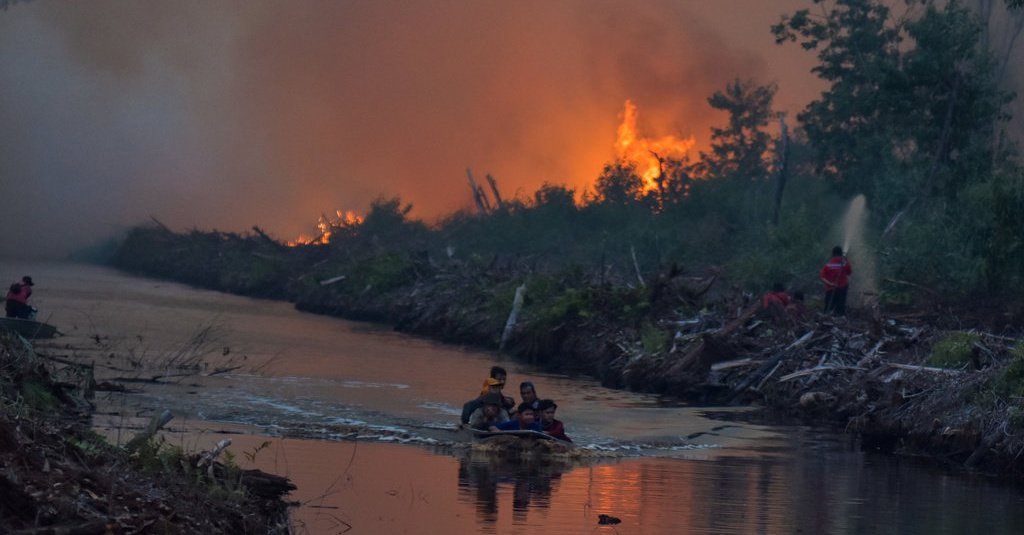 Gubernur Riau Tetapkan Status Siaga Darurat Bencana Karhutla