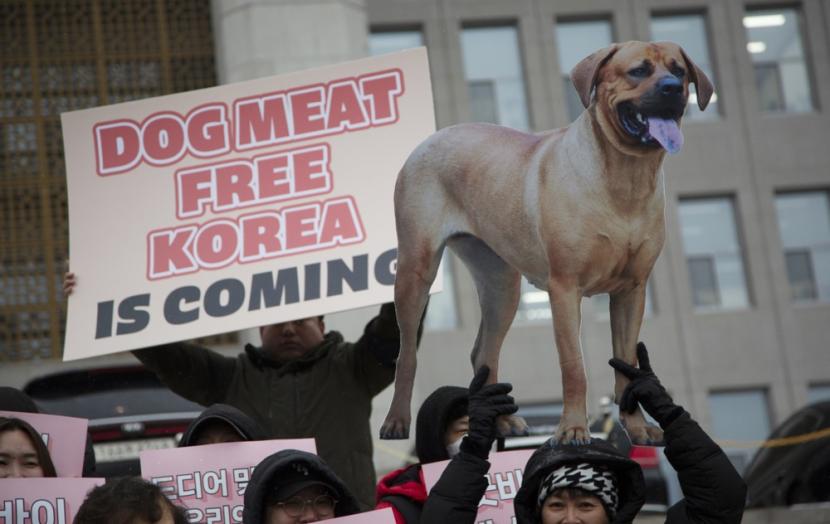 Korea Selatan Sahkan RUU Larangan Konsumsi Anjing