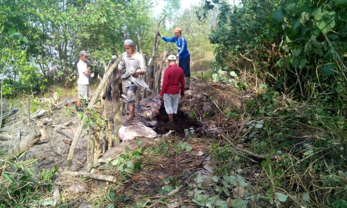 Tanggul Tebing di Kualakampar Jebol, Dewan Minta Diperbaiki Secepatnya