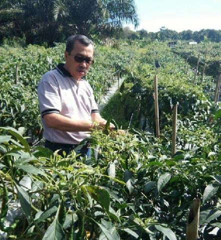 Masuki Musim Kemarau, Warga Diminta Tidak Bakar Sampah dan Lahan