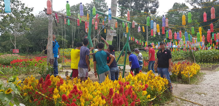 PT Arara Abadi Siapkan Nursery untuk Taman Bunga Pemuda Okura 
