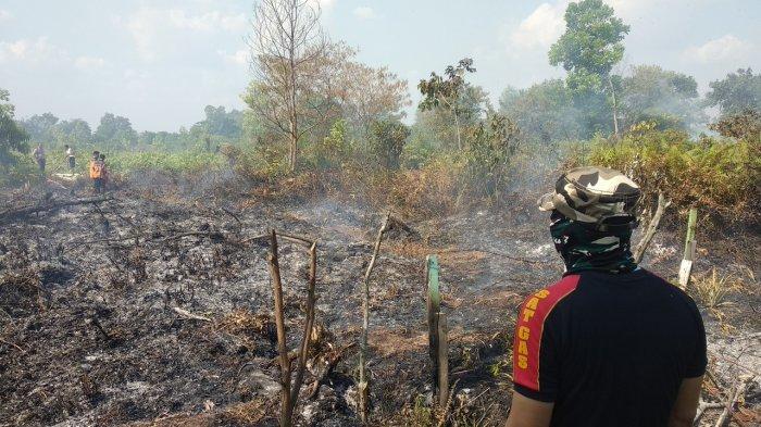 Kasus Karhutla di HGU PT Tugu Palma Inhu Masih Berkutat Pada Pemeriksaan