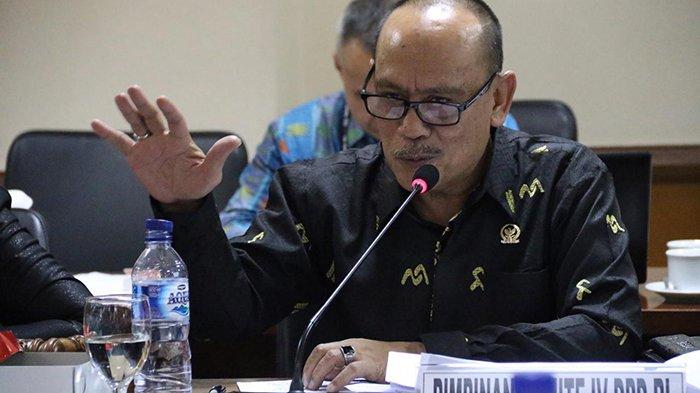 DPD RI Nilai Perlu Kepastian Hukum Bagi Konsultan Pajak