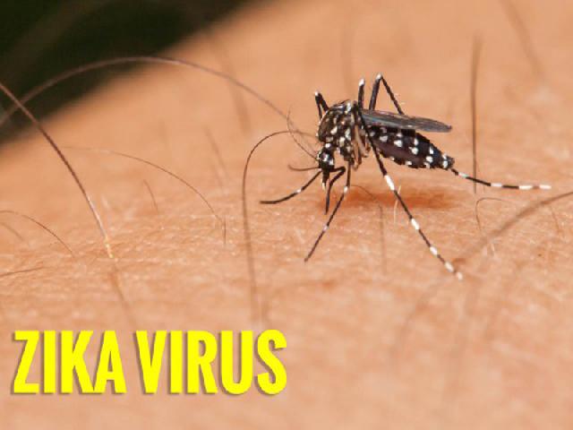 Kepri Antisipasi Virus Zika Masuk dari Singapura