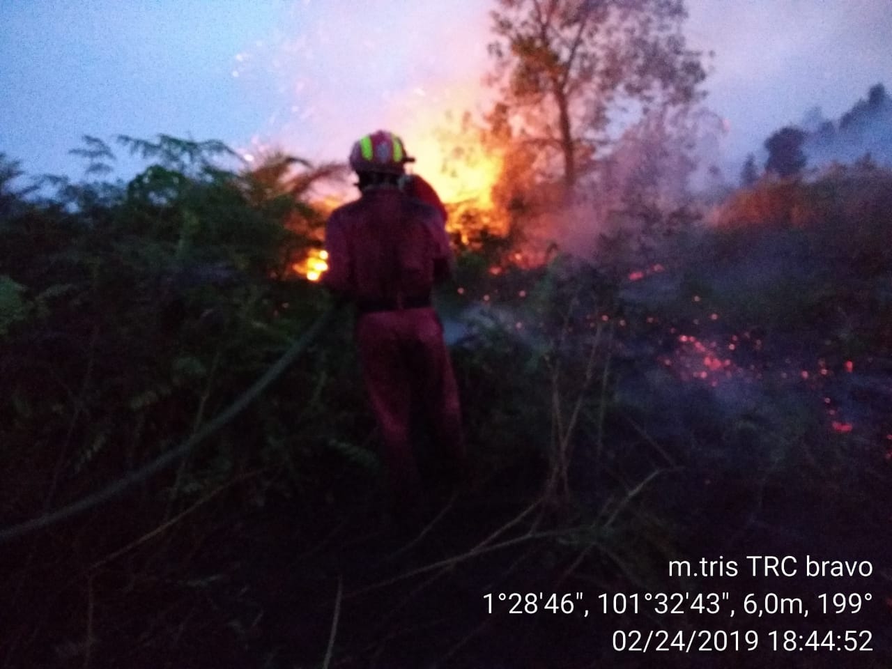 Pemadaman Karhutla di Dumai-Bengkalis Masih Berlangsung, Sinar Mas Turut Kerahkan Tim Darat