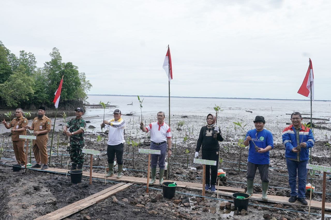 Sempena Hari Mangrove Sedunia, Gubri Tanam 200.000 Bibit Mangrove