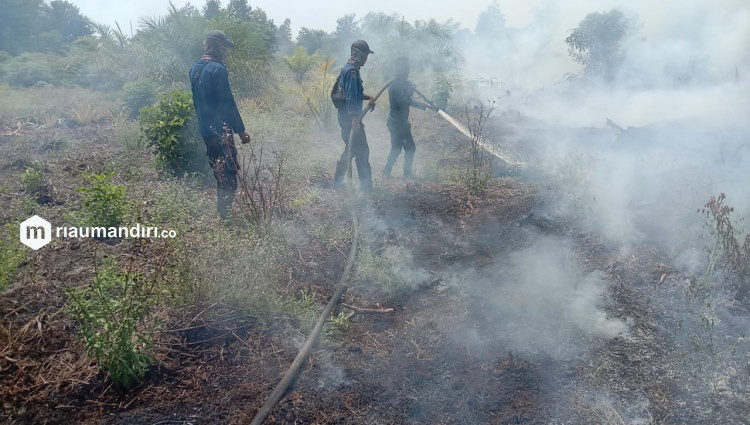 Kebakaran Lahan Gambut Kembali Terjadi di Siak