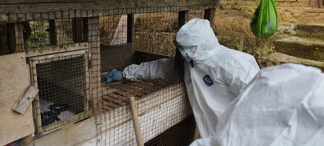 Pemkab Kampar Lakukan Upaya Pencegahan Penyebaran Flu Burung