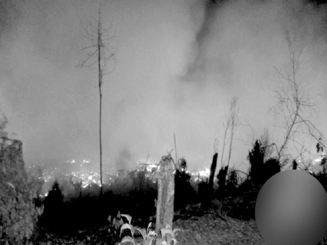 Puluhan Hektare Hutan  dan Lahan Terbakar di Sijunjung