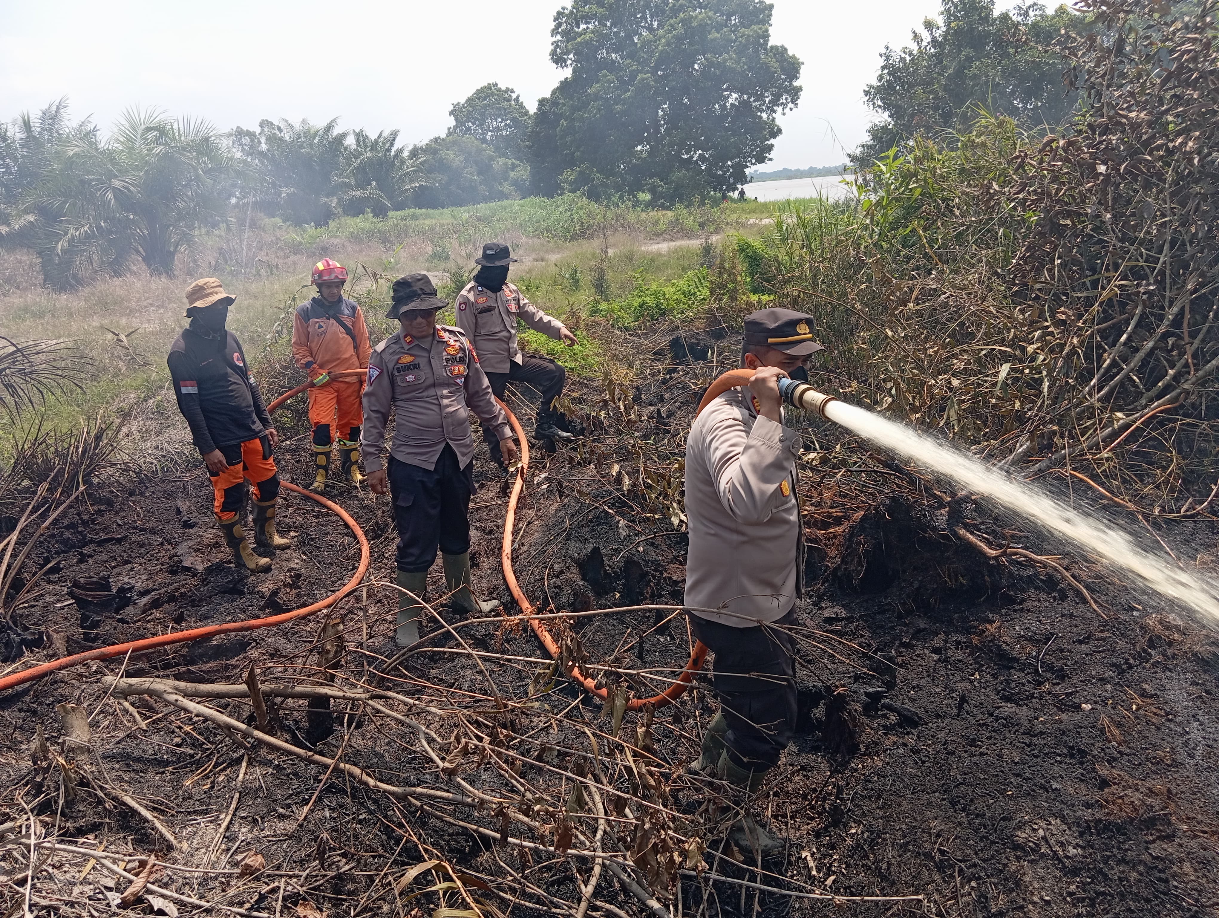 5 Hektar Lahan Gambut di Pelalawan Terbakar