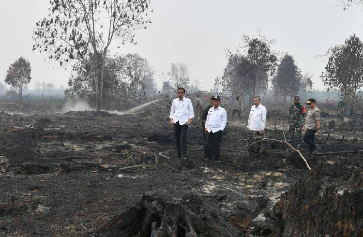 Karhutla Riau hingga September, 1,500 Hektare Lahan Dibakar 59 Tersangka