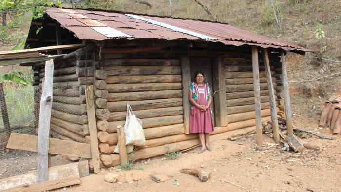 Cerita Perjuangan Hidup-Mati Inez Nekat Operasi Caesar Sendiri Demi Selamatkan Bayinya