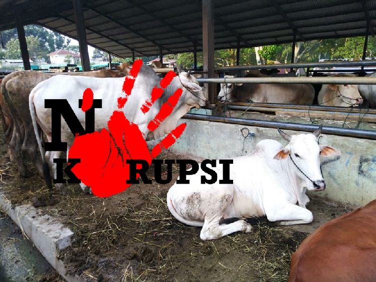 Plh Kadis Peternakan Riau Kembali Diperiksa Terkait Dugaan Korupsi Pengadaan Sapi