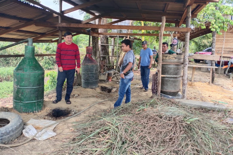 Wabup Kuansing Dorong Masyarakat Tanam dan Produksi Minyak Serai Wangi