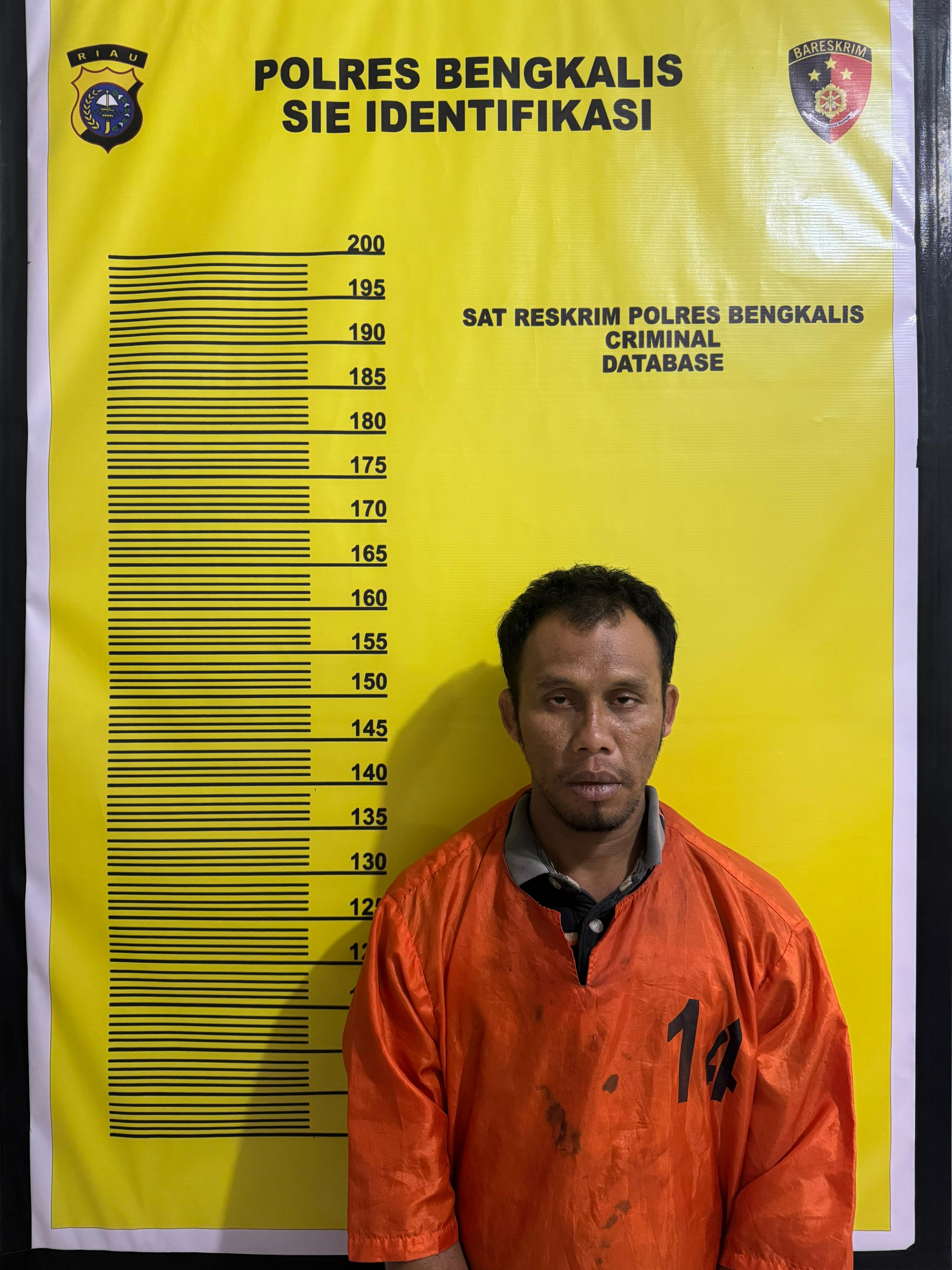 Polres Bengkalis Ungkap Kasus TPPO, Satu Orang Diamankan