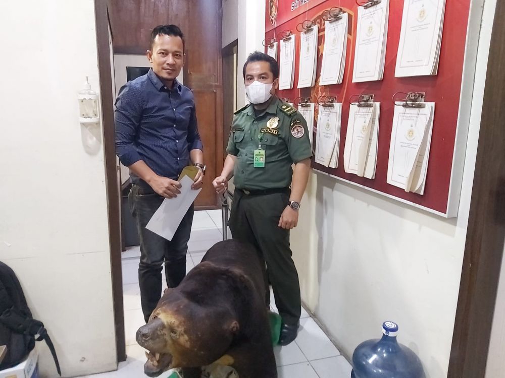 Di Inhil, Polisi Amankan Seekor Beruang Madu Diawetkan Warga