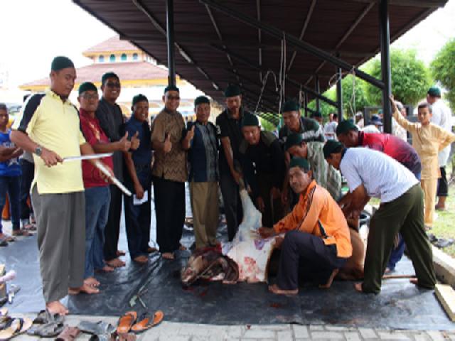 KP PTPN V Bagikan 700 Bungkus Daging Kurban