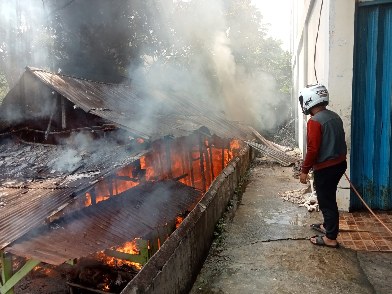 Hingga September 2022, 14,16 Hektare Lahan di Pekanbaru Terbakar 