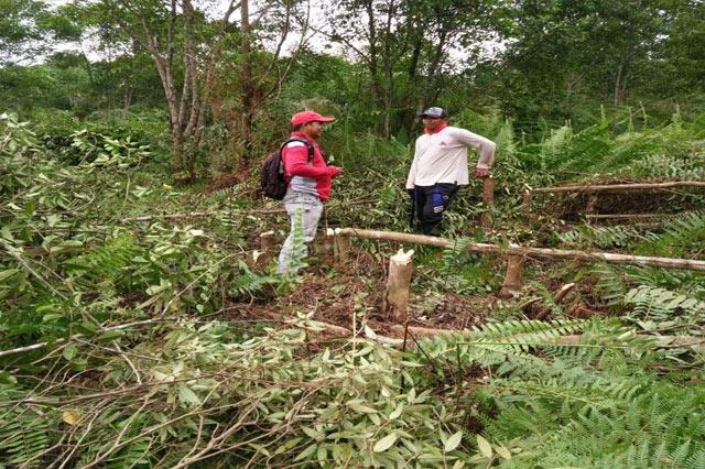 Gigih Sosialisasikan Buka Lahan Tanpa Bakar Ala Zuriadi