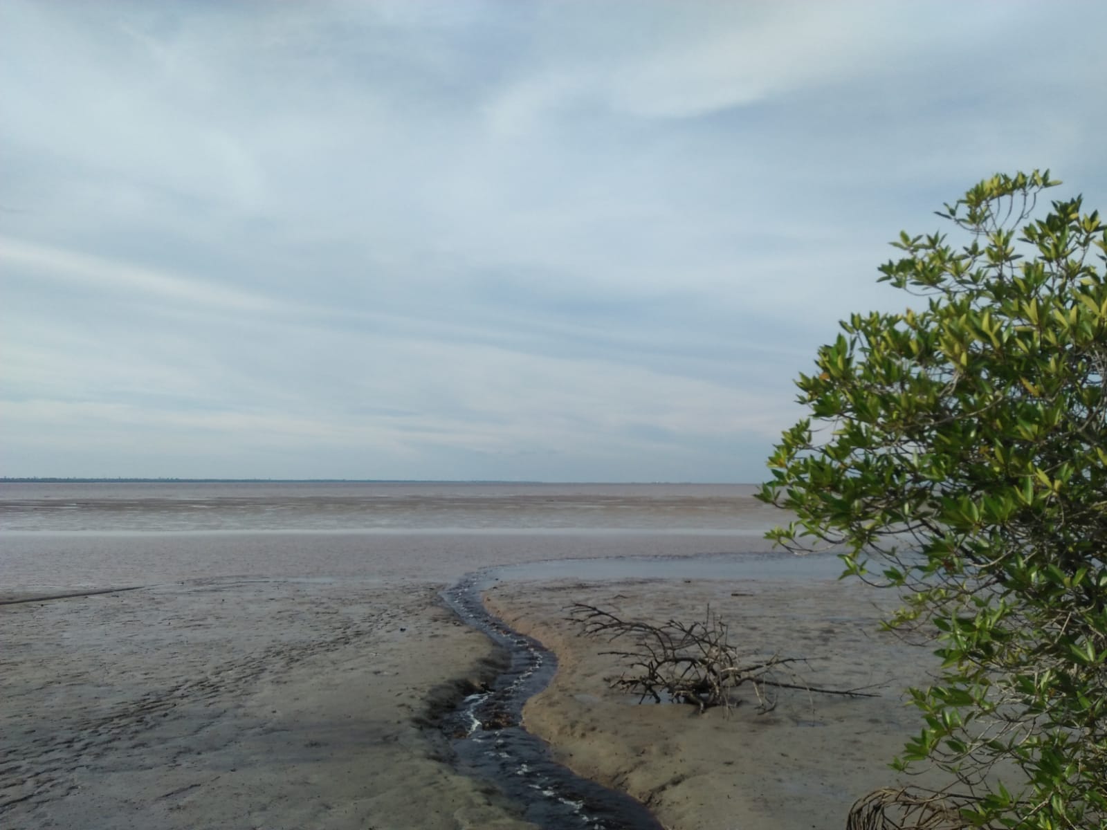 Potensi Wisata Bahari di Siak: Pantai Beting dan Hutan Mangrov Tanjung Layang