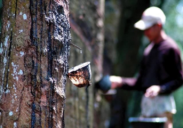 Angka Kemiskinan di Riau Meningkatx