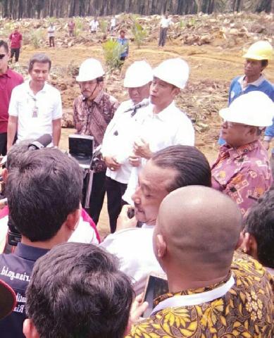 Kebun Sawit Tua, Perekonomian Rakyat Menurun, Jokowi: Makanya Pemerintah Meremajakannya
