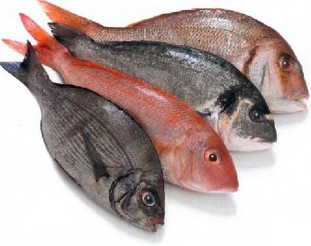 3 Tips Praktis Membersihkan Sisik Ikan yang Keras