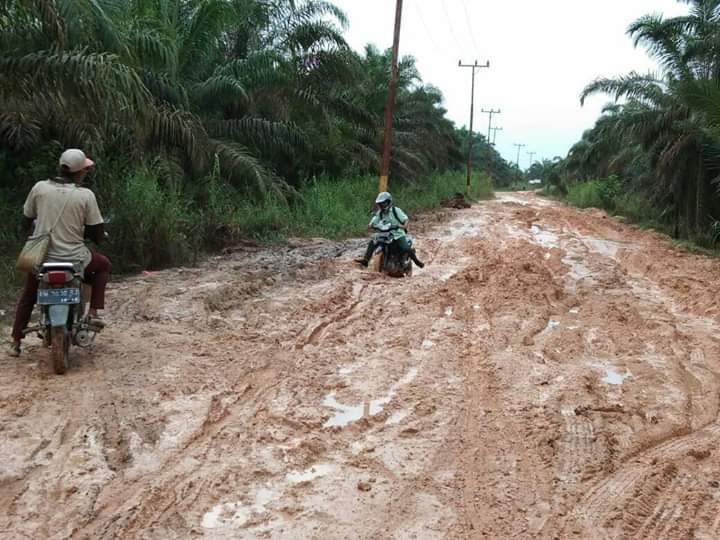 Jalan Desa Rawa Bangun Inhu Rusak Parah, Warga Jadi Korban
