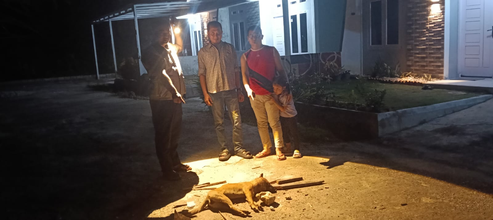 9 Warga di Tenayan Raya Digigit Anjing Terindikasi Rabies