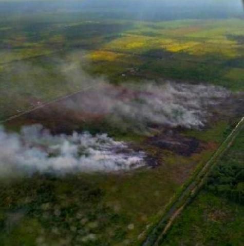 Riau Segera Tetapkan Status Siaga Darurat