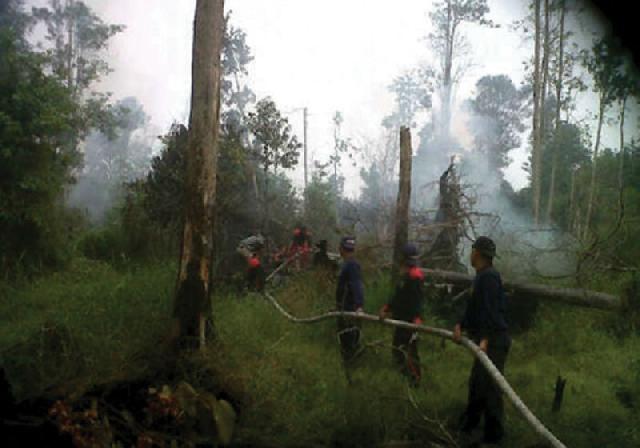 Diduga Puluhan Hektare Lahan Masyarakat Penyengat Terbakar