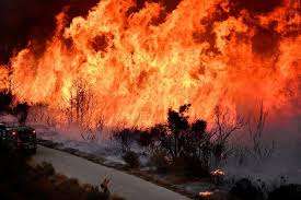 Lebih Seribu Orang Dinyatakan Hilang Akibat Kebakaran Hutan di California