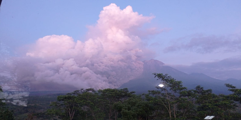 Dampak Erupsi Gunung Semeru, Puluhan Ekor Ternak Warga Mati