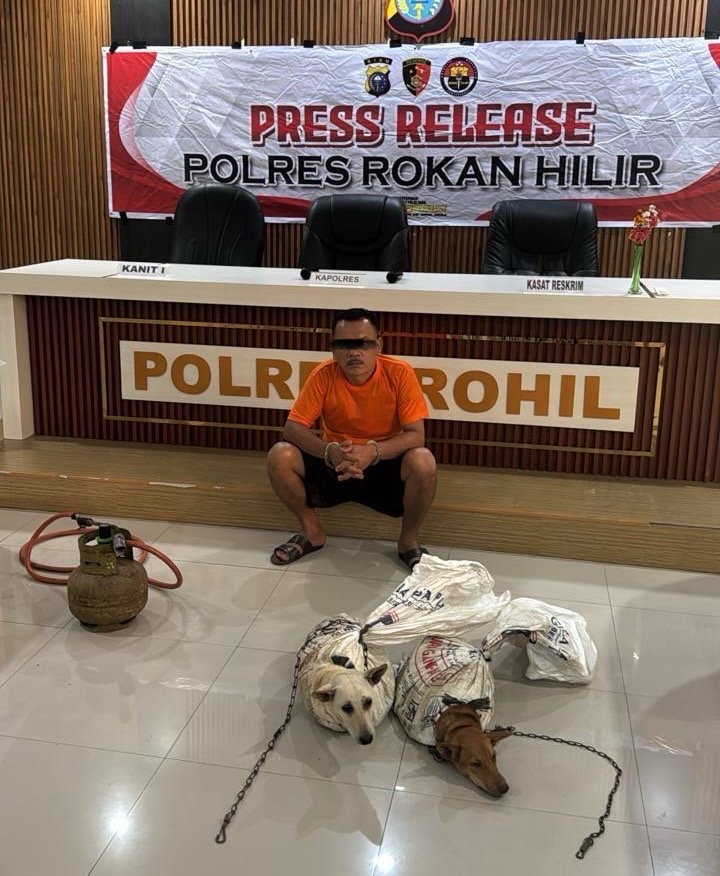 Sajikan Menu Daging Anjing, Pemilik Rumah Makan BPK di Rohil Ditangkap Polisi