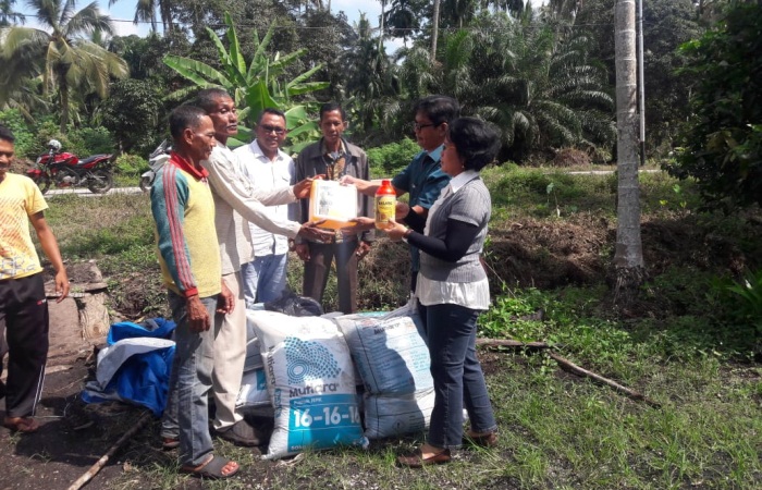 Dinas Perkebunan Meranti Salurkan Bantuan Bibit Kopi Liberika