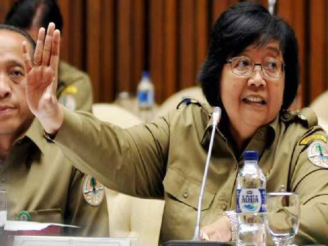 Menteri LHK  Batalkan Kerja Sama  Restorasi TNZ