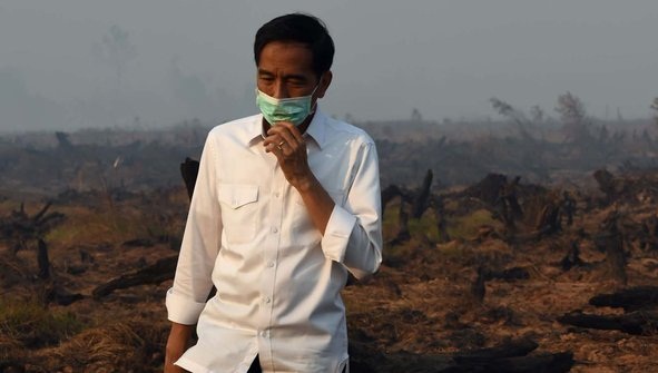 Presiden Jokowi Dijadwalkan ke Riau Kamis Mendatang