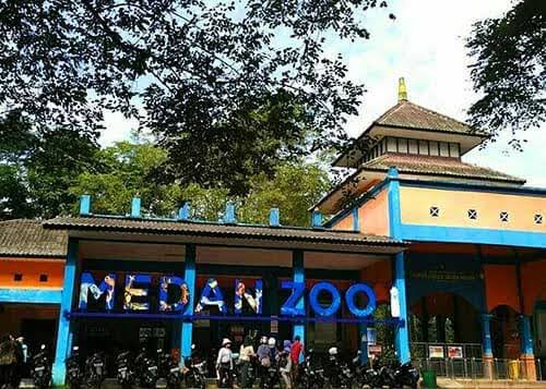 Walhi Sumut Desak Tutup Medan Zoo