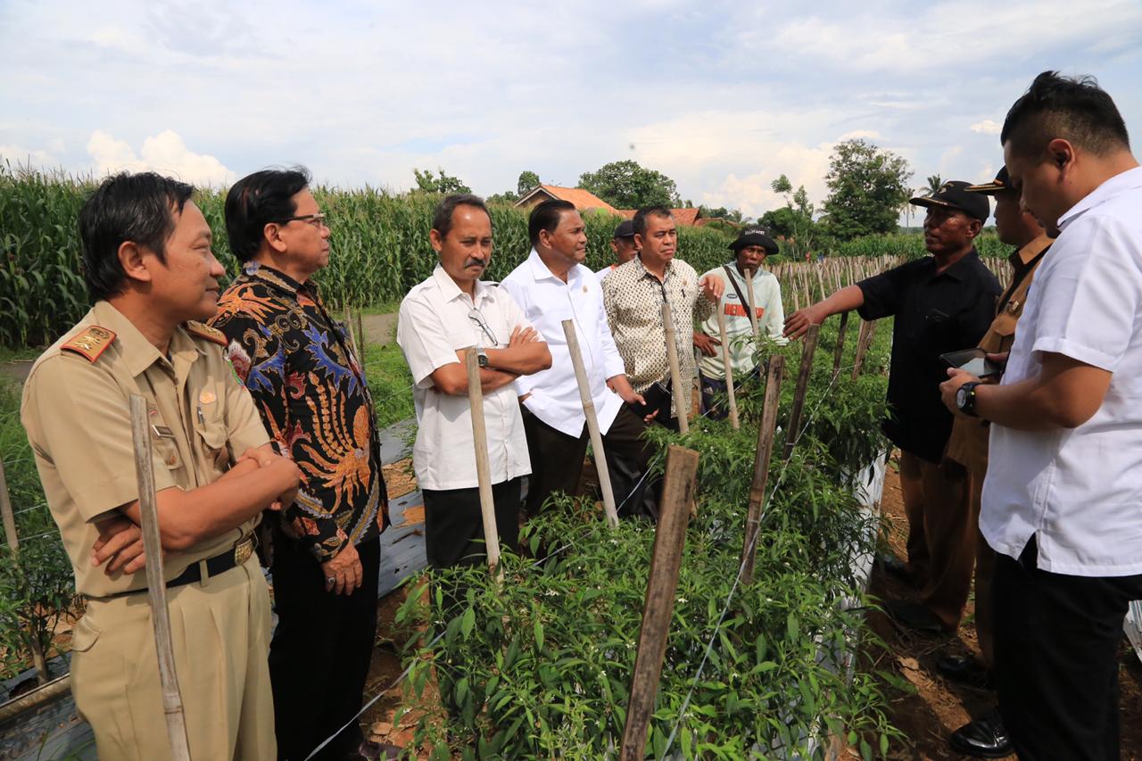 Komite II DPD RI Dorong Lampung Kembangkan  Pertanian Unggulan