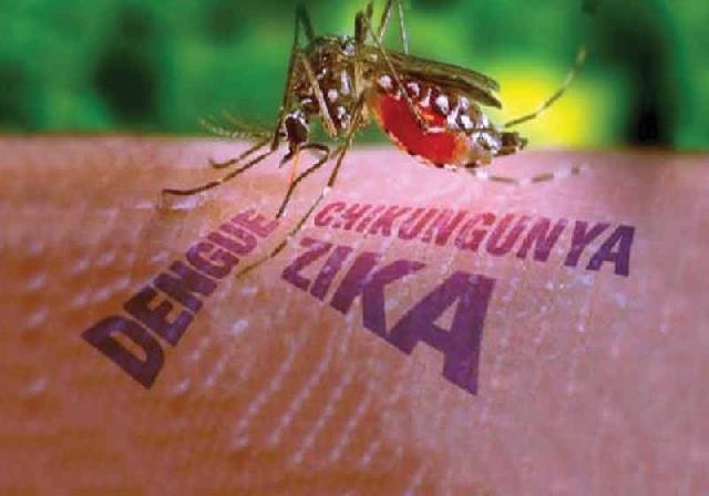 Virus Zika Belum Ditemukan