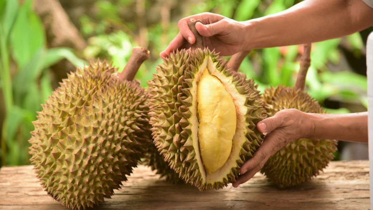 Suka Makan Durian? Ini Manfaatnya