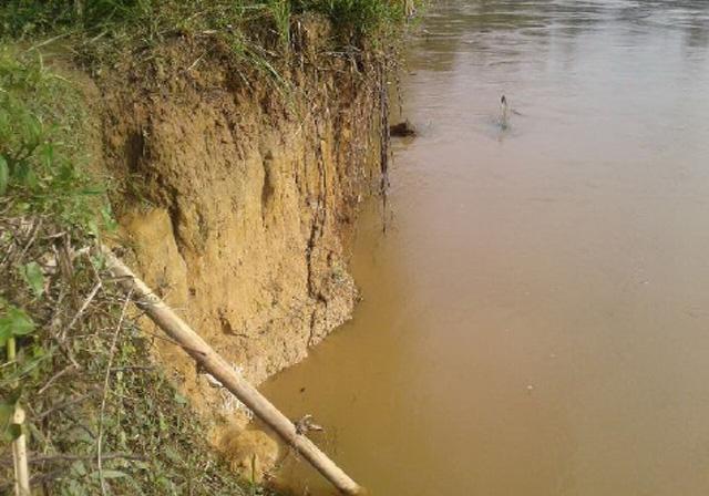Digerus Banjir, Tebing Sungai Kampar Butuh Turap