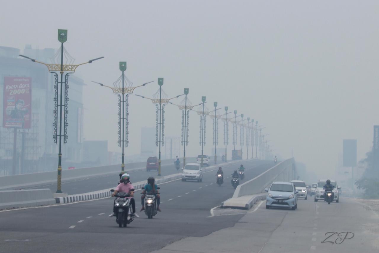 BMKG: Udara Riau Membaik setelah Diguyur Hujan